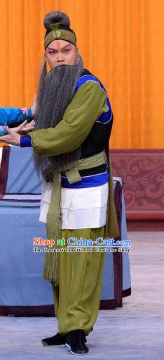 Revenge of the Fisherman Chinese Peking Opera Laosheng Garment Costumes and Headwear Beijing Opera Elderly Male Xiao En Apparels Clothing