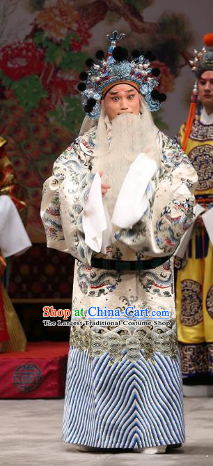 Xi Shi Chinese Peking Opera Elderly Official Wu Zixu Garment Costumes and Headwear Beijing Operae Apparels Old Man Python Embroidered Rob Clothing