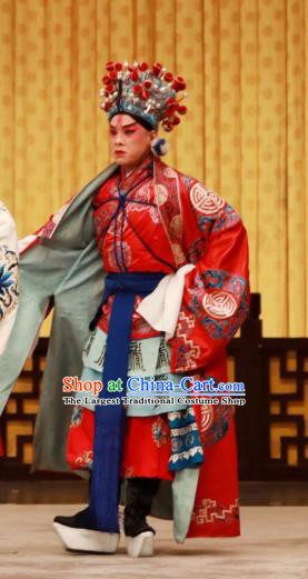 Yan Yang Tower Chinese Peking Opera Young Male Garment Costumes and Headwear Beijing Opera Wusheng Hua Fengchun Apparels Clothing