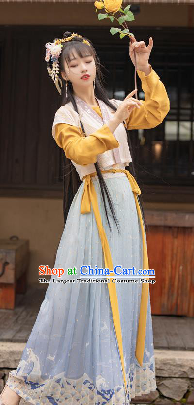 Traditional Chinese Ancient Ming Dynasty Young Lady Apparels Historical Costumes Village Girl Embroidered Hanfu Dress