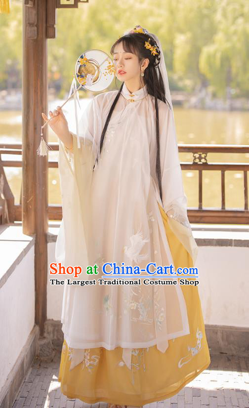 Traditional Chinese Ming Dynasty Noble Female Apparels Historical Costumes Ancient Royal Princess Embroidered Hanfu Dress for Women