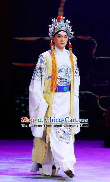 Zhen Guan Flourishing Age Chinese Peking Opera Emperor Li Shimin Garment Costumes and Headwear Beijing Opera Young Male Clothing Xiaosheng Apparels