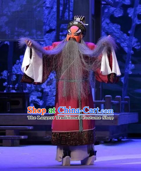 Zhen Guan Flourishing Age Chinese Peking Opera Chancellor Wei Zheng Garment Costumes and Headwear Beijing Opera Laosheng Clothing Apparels