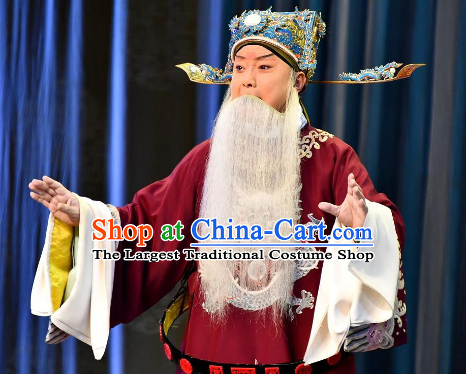 A Honey Trap Chinese Peking Opera Old Minister Garment Costumes and Headwear Beijing Opera Apparels Elderly Male Official Clothing