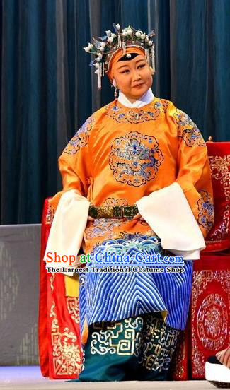 Chinese Beijing Opera Pantaloon Apparels Costumes and Headdress A Honey Trap Traditional Peking Opera Noble Dame Dress Countess Garment