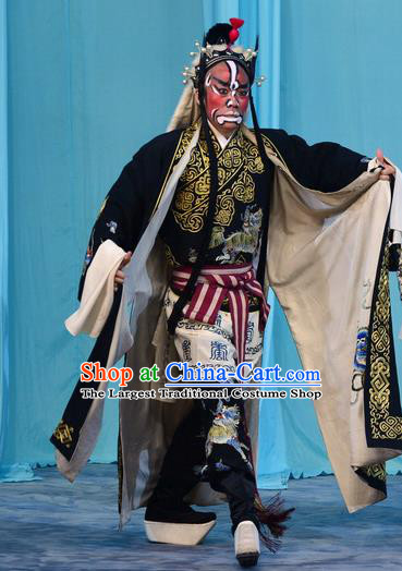 Xin An Yi Chinese Peking Opera Swordsman Chief Garment Costumes and Headwear Beijing Opera Martial Male Yang Sheng Apparels Clothing
