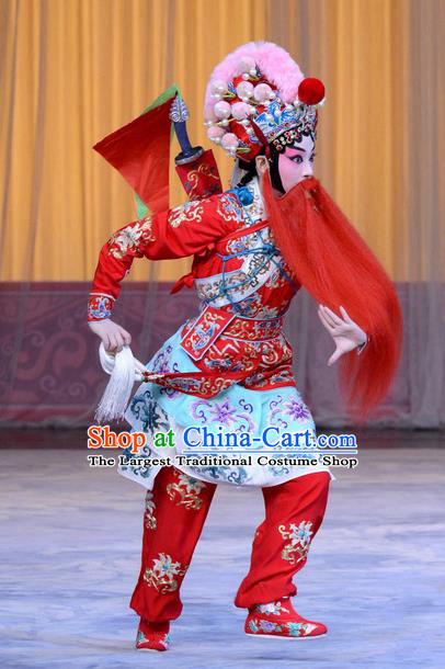 Chinese Beijing Opera Swordswoman Red Apparels Costumes and Headpieces Xin An Yi Traditional Peking Opera Martial Female Luo Yan Dress Garment