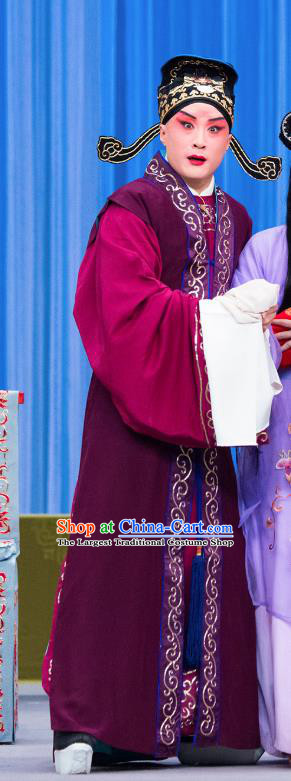 You Sisters in the Red Chamber Chinese Peking Opera Niche Garment Costumes and Headwear Beijing Opera Young Male Jia Lian Apparels Childe Clothing