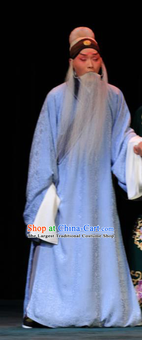Luo Yang Gong Chinese Peking Opera Old Man Garment Costumes and Headwear Beijing Opera Laosheng Fang Xuanling Apparels Clothing