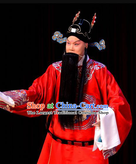 Number One Scholar Matchmaker Chinese Peking Opera Official Garment Costumes and Headwear Beijing Opera Prime Minister Lv Mengzheng Apparels Clothing