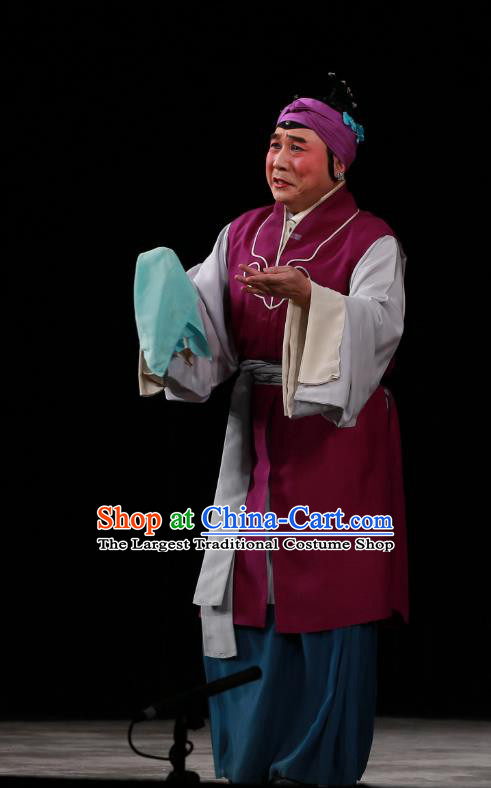 Chinese Beijing Opera Old Dame Yan Po Apparels Costumes and Headdress Wu Long Yuan Traditional Peking Opera Elderly Female Dress Pantaloon Garment