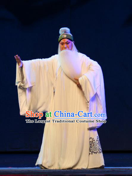 Da Meng Chang Ge Chinese Peking Opera Elderly Male Garment Costumes and Headwear Beijing Opera Laosheng Apparels Poet Xin Qiji Clothing