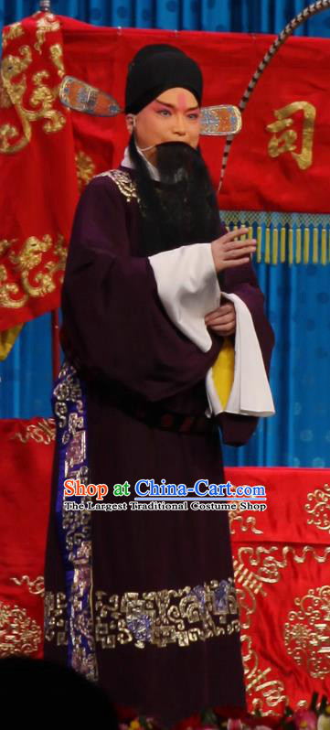 Qun Jie Hua Chinese Peking Opera Laosheng Elderly Male Garment Costumes and Headwear Beijing Opera Apparels Official Clothing