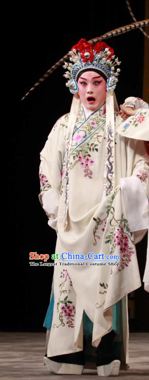 Bai Hua Zeng Jian Chinese Peking Opera Xiaosheng Garment Young Male Costumes and Headwear Beijing Opera Scholar Hai Jun Apparels Clothing