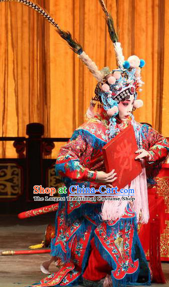 Chinese Beijing Opera Female Swordsman Jiang Huyou Apparels Costumes and Headdress Bai Hua Zeng Jian Traditional Peking Opera Xiaodan Dress Servant Girl Garment