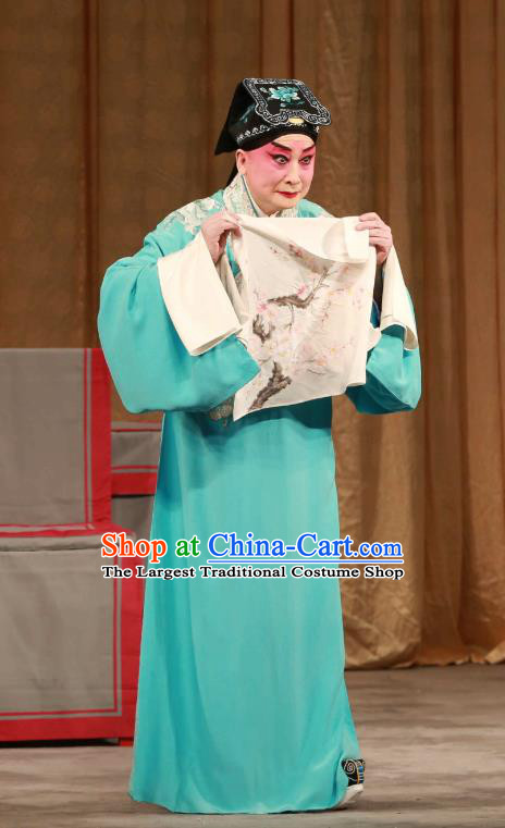 Mei Yu Pei Chinese Peking Opera Scholar Xu Tingmei Garment Costumes and Headwear Beijing Opera Xiaosheng Apparels Young Male Niche Clothing