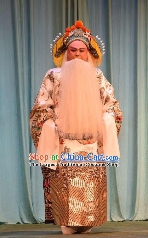 Da Jin Zhi Chinese Shanxi Opera Lord Apparels Costumes and Headpieces Traditional Jin Opera Laosheng Garment Duke Guo Ziyi Clothing