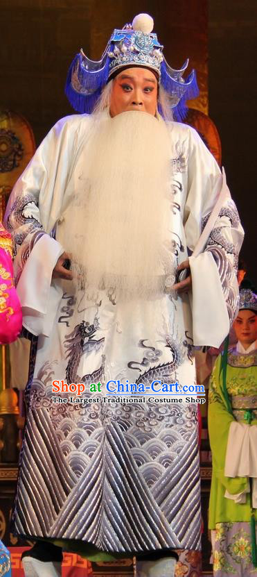 Da Jin Zhi Chinese Shanxi Opera Royal Highness Apparels Costumes and Headpieces Traditional Jin Opera Laosheng Garment Guo Ziyi Clothing