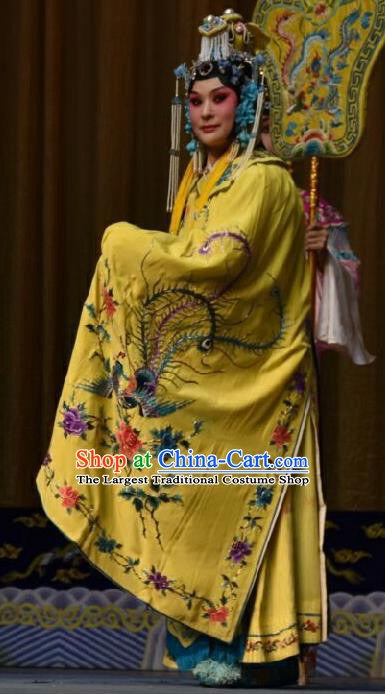 Chinese Jin Opera Royal Woman Garment Costumes and Headdress Wo Hu Ling Traditional Shanxi Opera Young Female Dress Princess Hu Yang Apparels