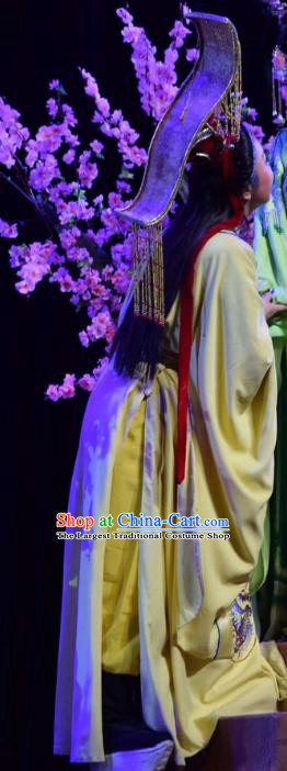 Madam Ruyi Chinese Shanxi Opera Emperor Li Zhi Apparels Costumes and Headpieces Traditional Jin Opera Young Male Garment Monarch Clothing
