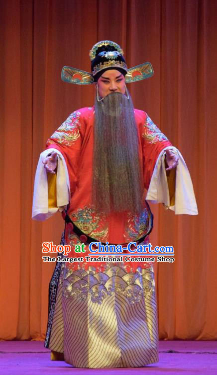 Han Yang Court Chinese Shanxi Opera Censor Hai Rui Apparels Costumes and Headpieces Traditional Jin Opera Elderly Male Garment Minister Clothing