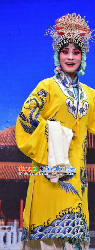 Chinese Jin Opera Court Empress Garment Costumes and Headdress Palm Civet for Prince Traditional Shanxi Opera Queen Liu Dress Diva Apparels