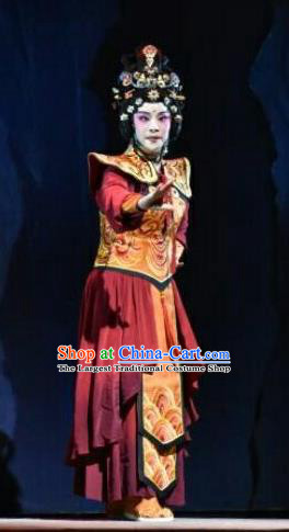 Chinese Jin Opera Swordswoman Garment Costumes and Headdress Xiong Guan Niang Zi Traditional Shanxi Opera Princess Pingyang Dress Martial Female Apparels