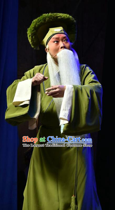 Fifteen Strings of Cash Chinese Shanxi Opera Laosheng Apparels Costumes and Headpieces Traditional Jin Opera Garment Old Man Clothing