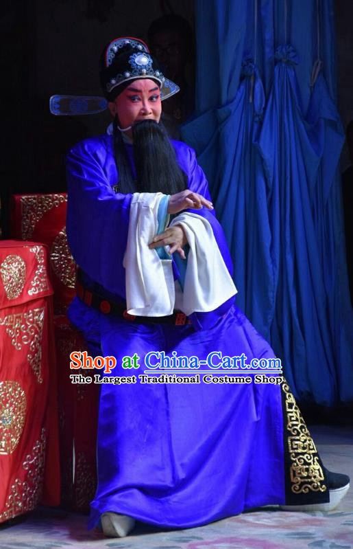 Fifteen Strings of Cash Chinese Shanxi Opera Official Zhou Chen Apparels Costumes and Headpieces Traditional Jin Opera Elderly Male Garment Laosheng Clothing