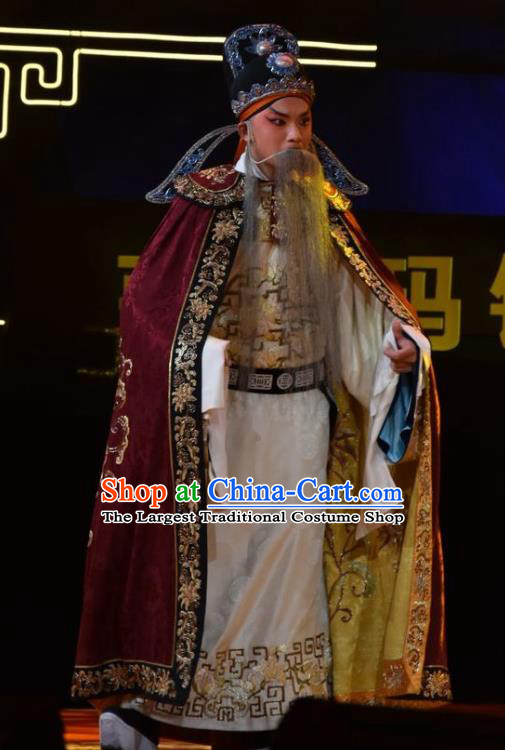 Wu Zetian and Di Renjie Chinese Shanxi Opera Elderly Male Apparels Costumes and Headpieces Traditional Jin Opera Official Garment Tang Dynasty Minister Clothing