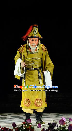 Ba Ersi Yu Shi Chinese Shanxi Opera Elderly Male Ahmed Apparels Costumes and Headpieces Traditional Jin Opera Minister Garment Chancellor Clothing