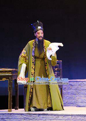 Ba Ersi Yu Shi Chinese Shanxi Opera Elderly Male Apparels Costumes and Headpieces Traditional Jin Opera Laosheng Garment Minister Yao Tianfu Clothing