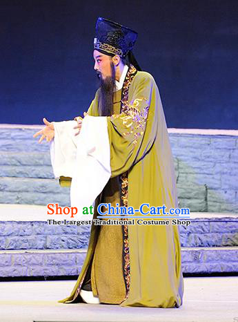 Ba Ersi Yu Shi Chinese Shanxi Opera Elderly Male Ahmed Apparels Costumes and Headpieces Traditional Jin Opera Laosheng Garment Minister Yao Tianfu Clothing