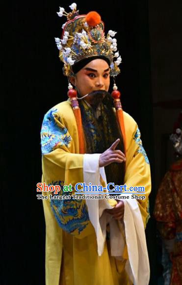 San Guan Dian Shuai Chinese Shanxi Opera Elderly Male Apparels Costumes and Headpieces Traditional Jin Opera Royal Highness Garment Lord Clothing
