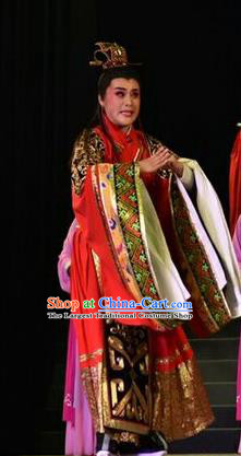 Zhen Luo Nv Chinese Shanxi Opera Prince Cao Zhi Apparels Costumes and Headpieces Traditional Jin Opera Young Male Garment Gifted Scholar Clothing