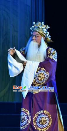 Mulan Joins the Army Chinese Shanxi Opera Landlord Hua Hu Apparels Costumes and Headpieces Traditional Jin Opera Laosheng Garment Ministry Councillor Clothing