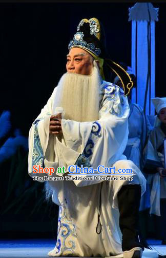 Fenyang King Chinese Shanxi Opera Laosheng Apparels Costumes and Headpieces Traditional Jin Opera Elderly Male Garment Hero Guo Ziyi Clothing