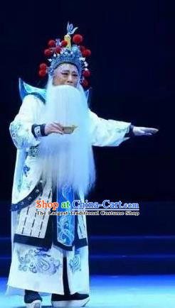 Fenyang King Chinese Shanxi Opera Infante Apparels Costumes and Headpieces Traditional Jin Opera Elderly Male Garment Laosheng Guo Ziyi Clothing