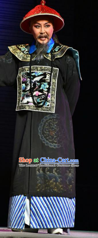 He Qing Hai Yan Chinese Shanxi Opera Qing Dynasty Governor Li Yumei Apparels Costumes and Headpieces Traditional Jin Opera Elderly Male Garment Official Clothing