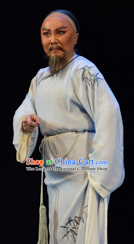 He Qing Hai Yan Chinese Shanxi Opera Qing Dynasty Elderly Male Apparels Costumes and Headpieces Traditional Jin Opera Garment Scholar Li Yumei Clothing