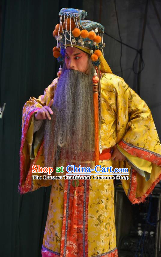 Shen Gong Qing Hun Chinese Shanxi Opera Old King Apparels Costumes and Headpieces Traditional Jin Opera Elderly Male Garment Lord Clothing
