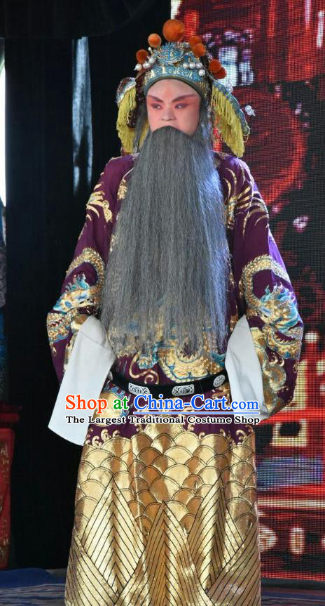 Long Hu Feng Yun Chinese Shanxi Opera Elderly Male Apparels Costumes and Headpieces Traditional Jin Opera Laosheng Garment Gao Huaide Clothing