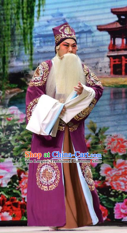 Big Feet Empress Chinese Shanxi Opera Laosheng Apparels Costumes and Headpieces Traditional Jin Opera Elderly Male Garment Landlord Clothing