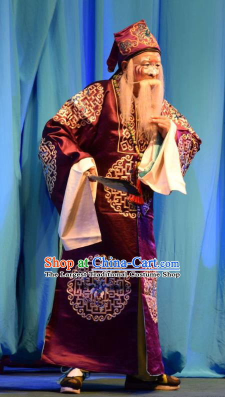 The Butterfly Chalice Chinese Shanxi Opera Ministry Councillor Apparels Costumes and Headpieces Traditional Jin Opera Elderly Male Garment Landlord Clothing