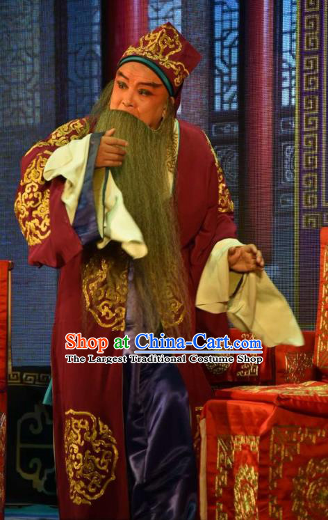The Crimson Palm Chinese Bangzi Opera Landlord Wang Chun Apparels Costumes and Headpieces Traditional Clapper Opera Laosheng Garment Elderly Male Clothing