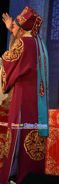 The Crimson Palm Chinese Bangzi Opera Landlord Wang Chun Apparels Costumes and Headpieces Traditional Clapper Opera Laosheng Garment Elderly Male Clothing