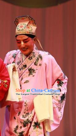 Story About A Wall Chinese Lu Opera Scholar Apparels Costumes and Headpieces Traditional Shandong Opera Clown Garment Zhang Erguai Pink Robe Clothing