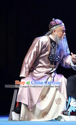 You Bai Chuan Chinese Lu Opera Laosheng Apparels Costumes and Headpieces Traditional Shandong Opera Weng Tonghe Garment Elderly Male Clothing