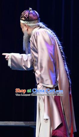 You Bai Chuan Chinese Lu Opera Laosheng Apparels Costumes and Headpieces Traditional Shandong Opera Weng Tonghe Garment Elderly Male Clothing