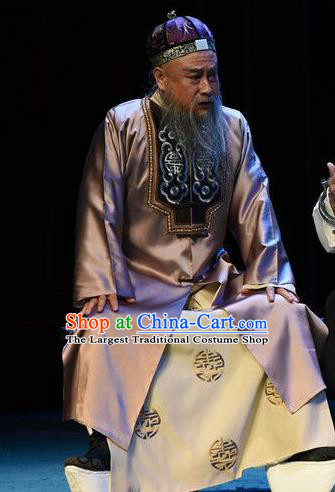 You Bai Chuan Chinese Lu Opera Laosheng Apparels Costumes and Headpieces Traditional Shandong Opera Weng Tonghe Garment Elderly Male Clothing